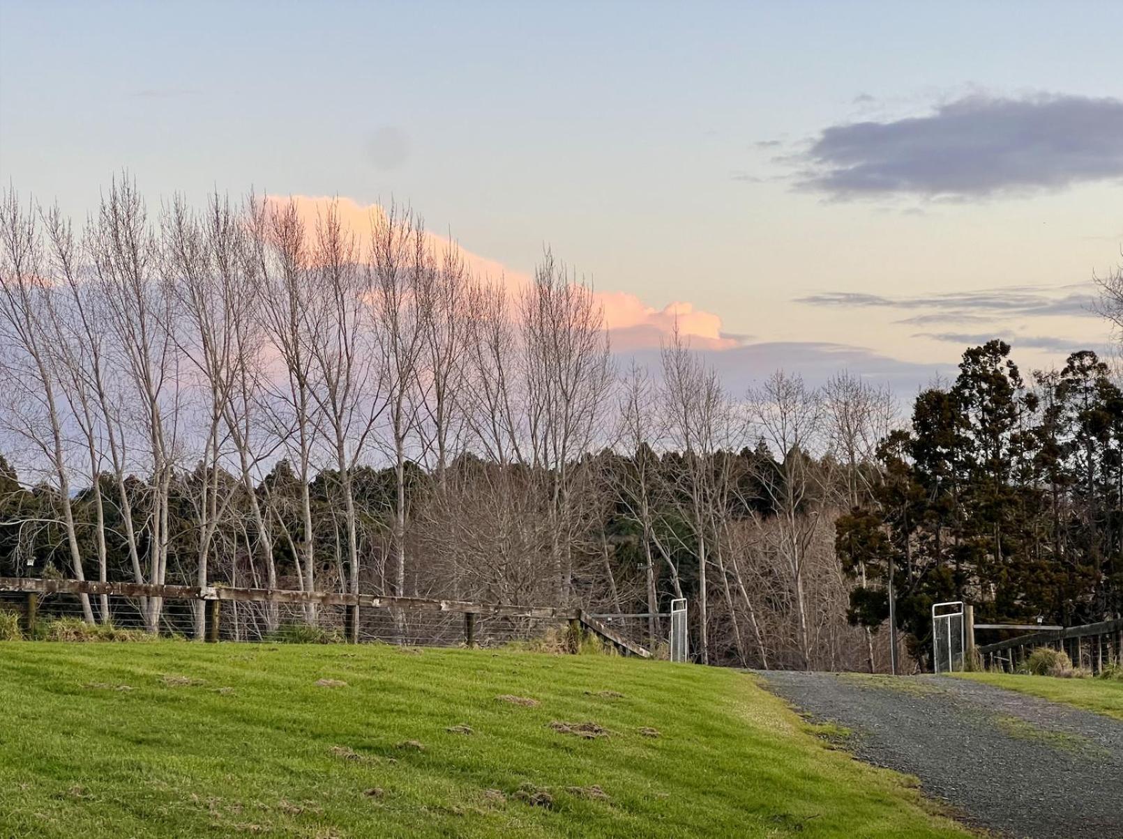 Ranfurly Holiday Home Auckland Zewnętrze zdjęcie